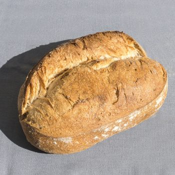 Adso J©H.Lagarde_40