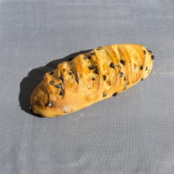 Adso J©H.Lagarde_43